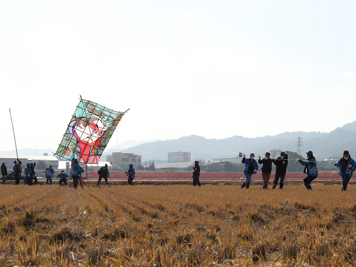 新春自由放風箏