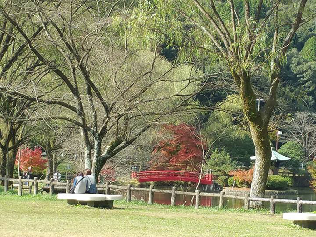 Jokoji Temple's Autumn Leaves