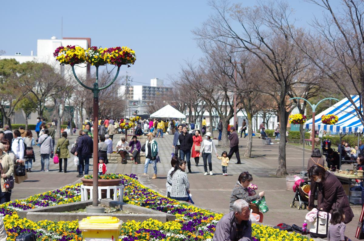 荒子川公园 樱花节