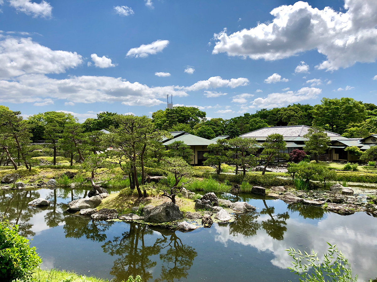 白鳥庭園 春浪漫 | 【公式】愛知県の観光サイトAichi Now