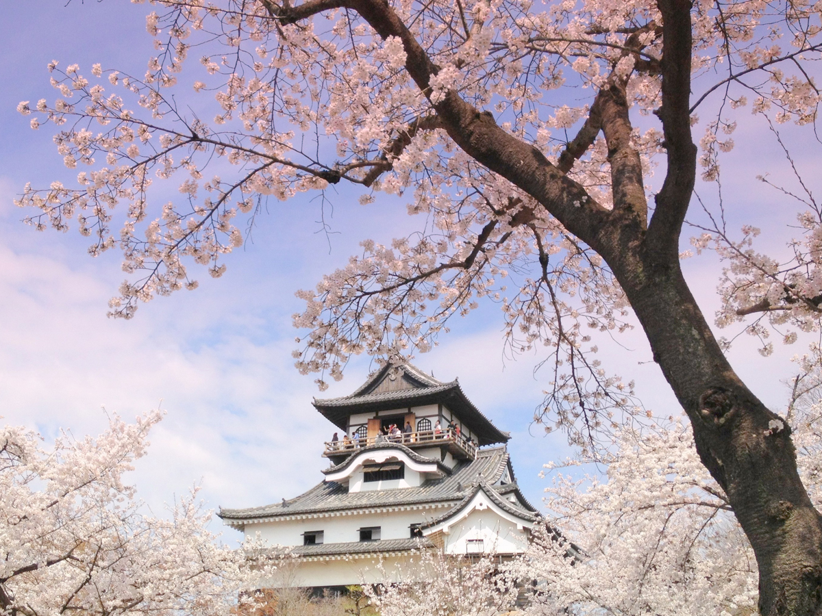 National Treasure Inuyama Castle