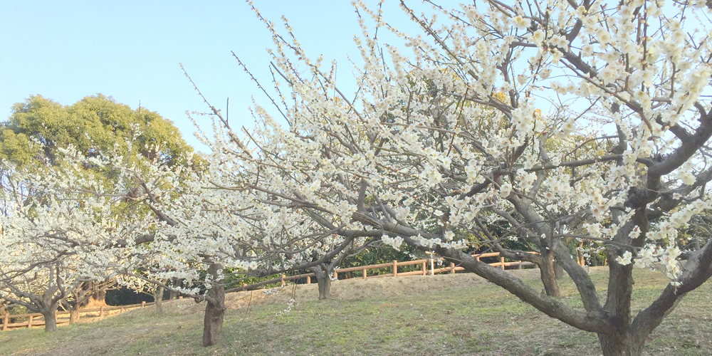 佐布里池