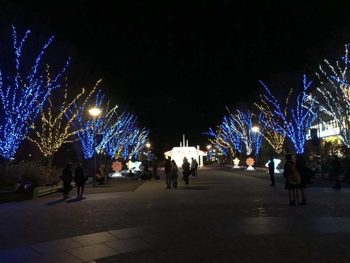 Winter Illumination in Otagawa