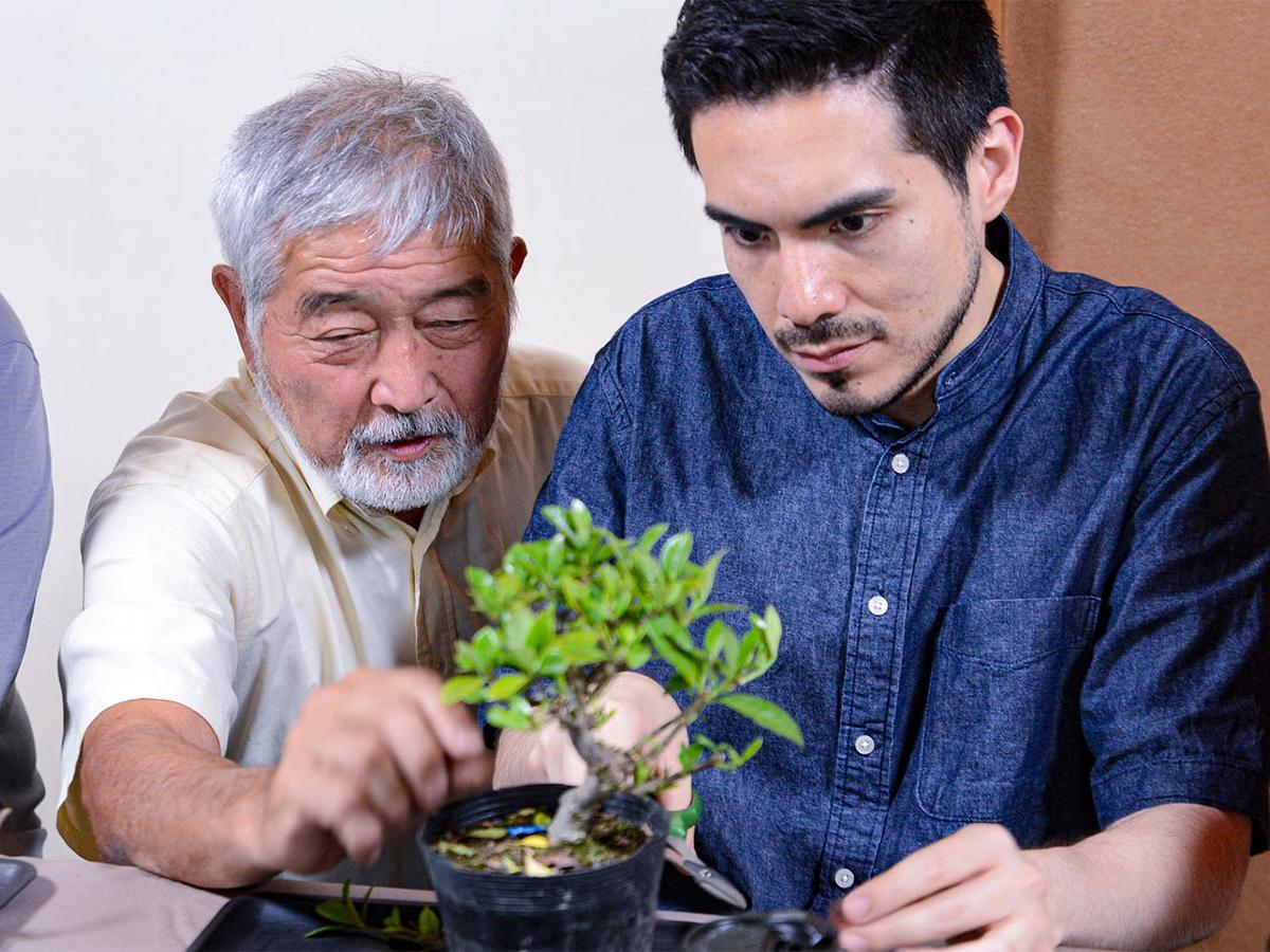 Bonsai & Sencha Tea Experience