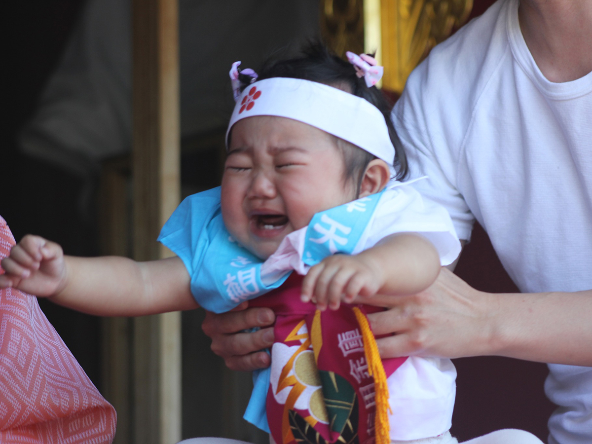 奉納 岩津天神泣き相撲