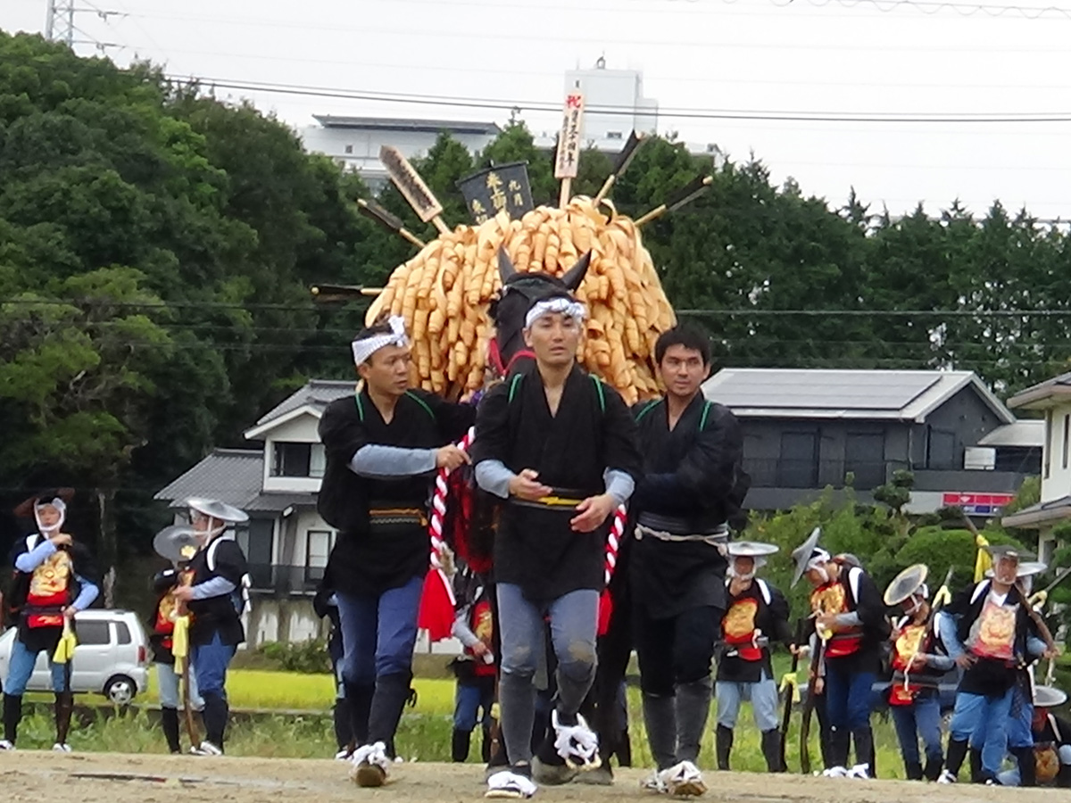 Yazako Omanto Festival