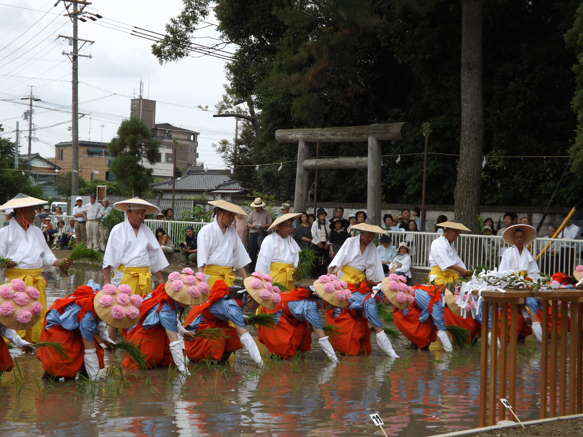 国府宮神社　御田植祭