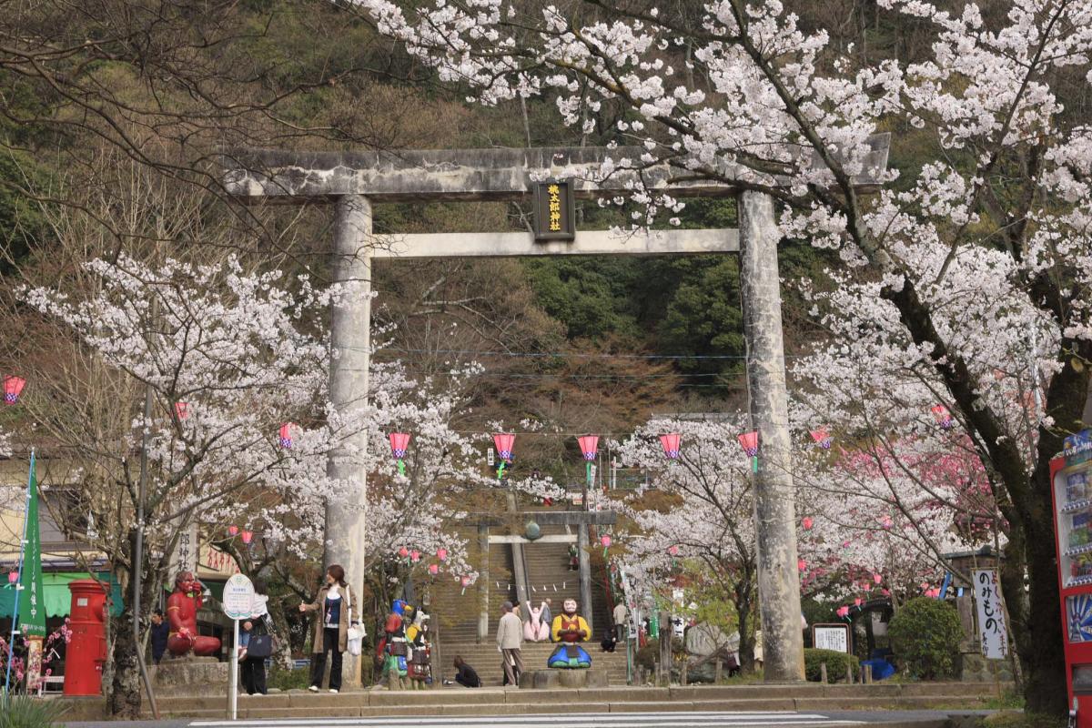 桃太郎さくら祭り