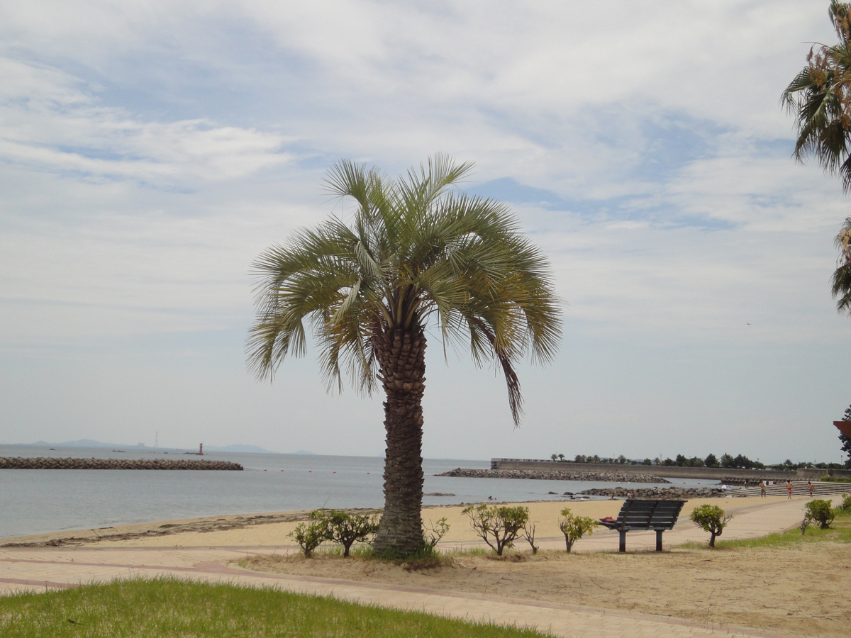 宮崎海水浴場