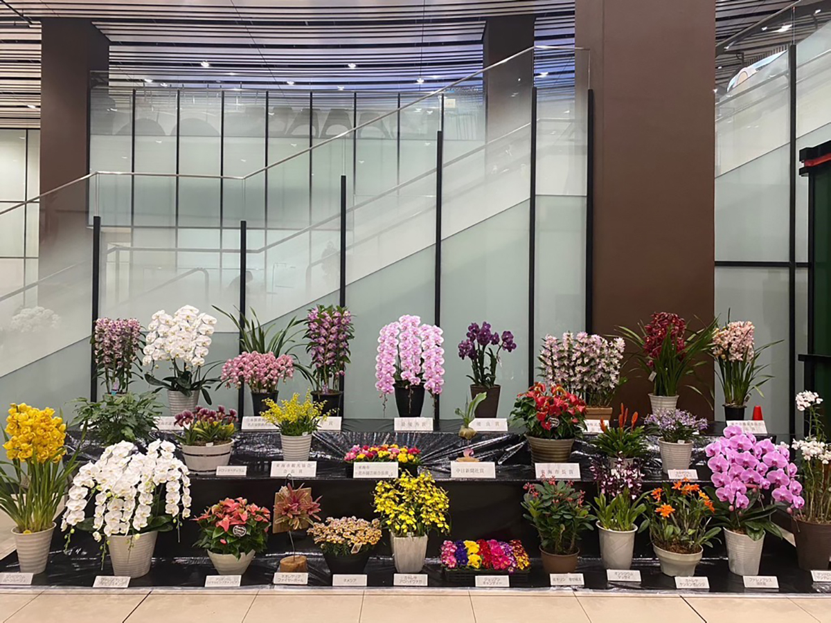 Tokai Flower Show