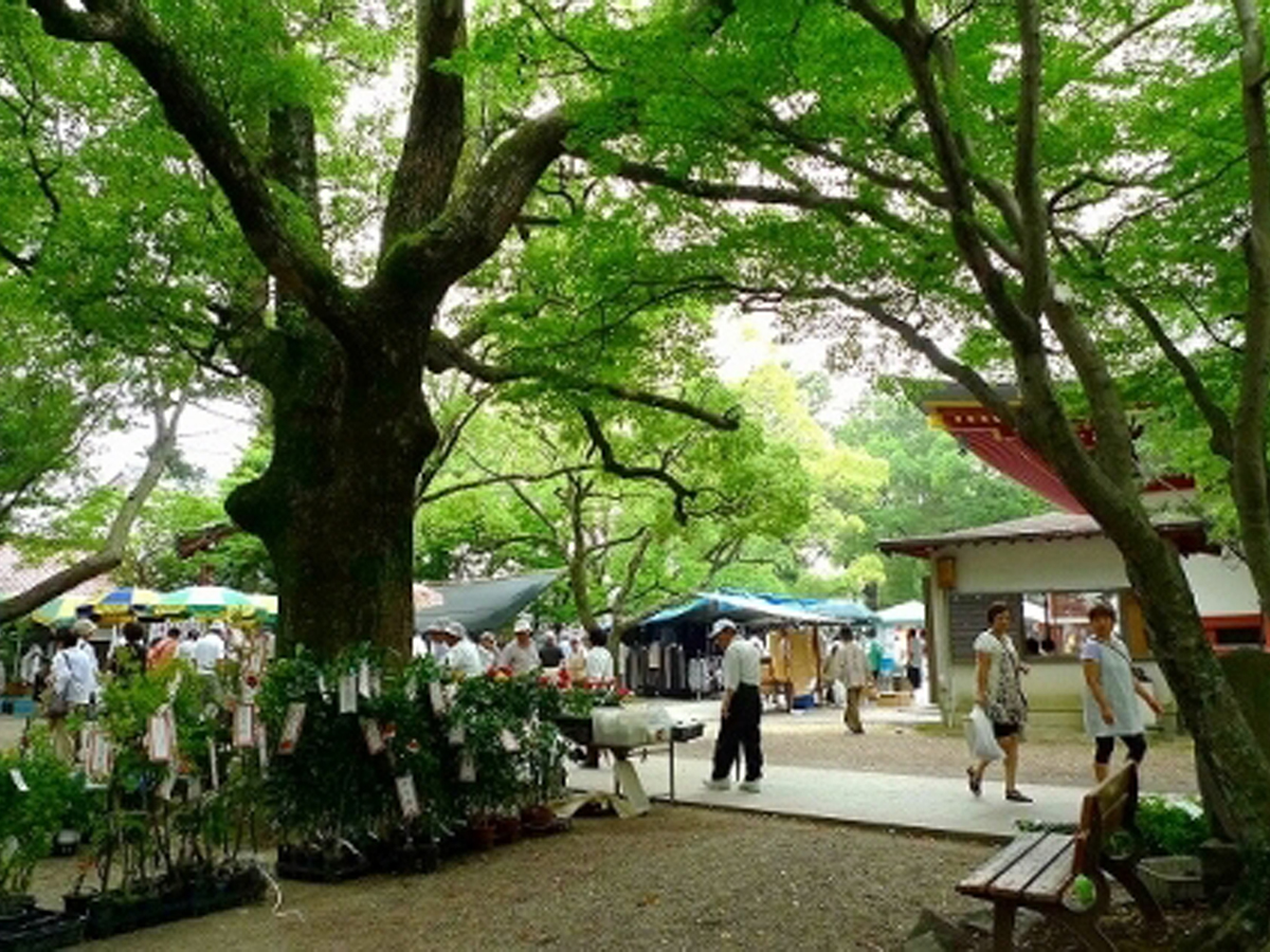 弘法山 遍照院