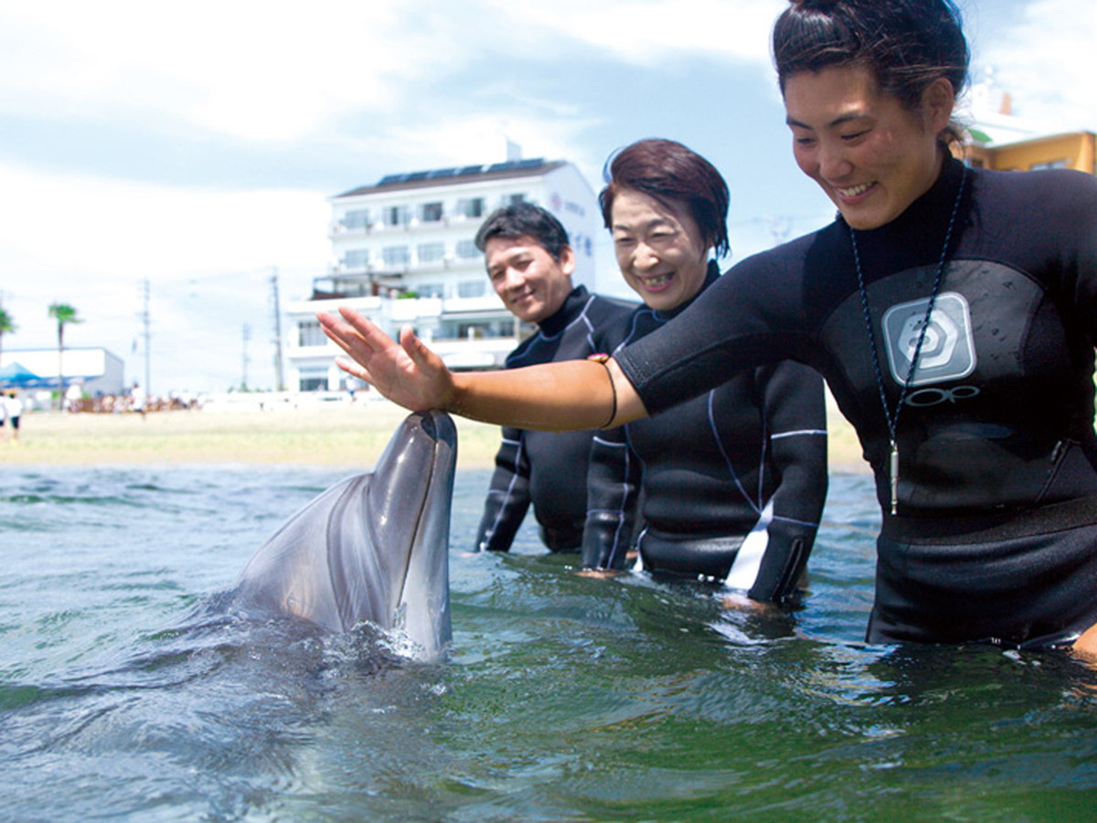Dolphin Encounter Experience on Himakajima Island 2023 (Iruka ni Aeru Shima Himakajima)