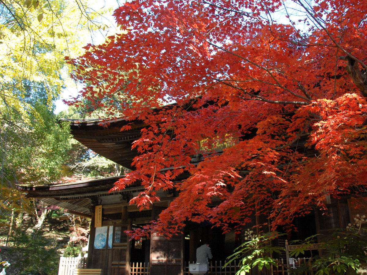 定光寺の紅葉