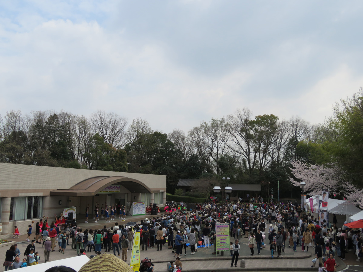 尾張旭 城山公園櫻花節 Aichinow 愛知旅遊官方網站