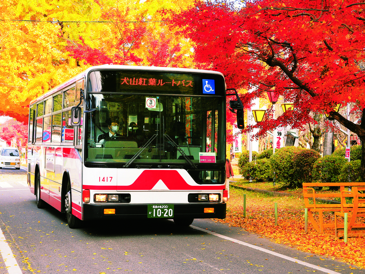 Inuyama Autumn Leaves Route Bus