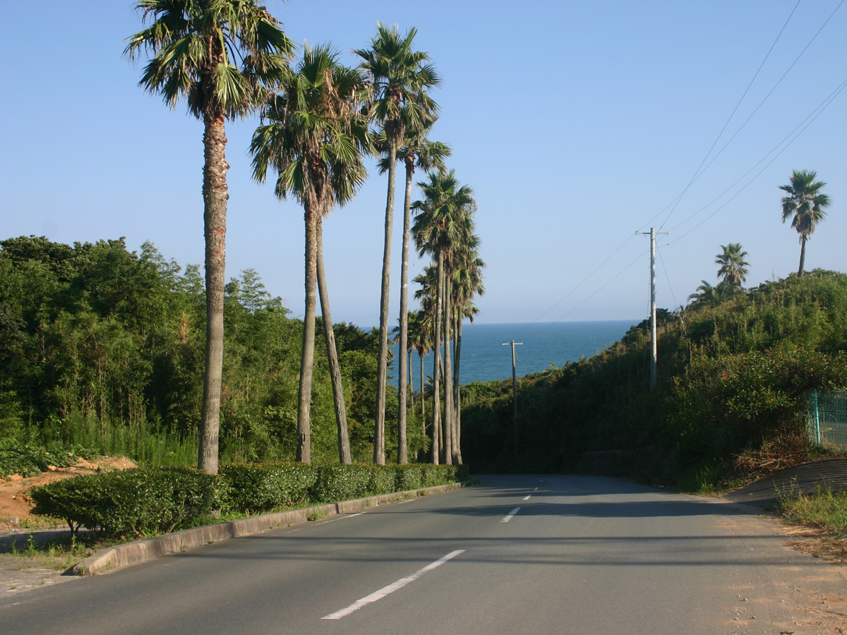 太平洋长海滩・大石海岸