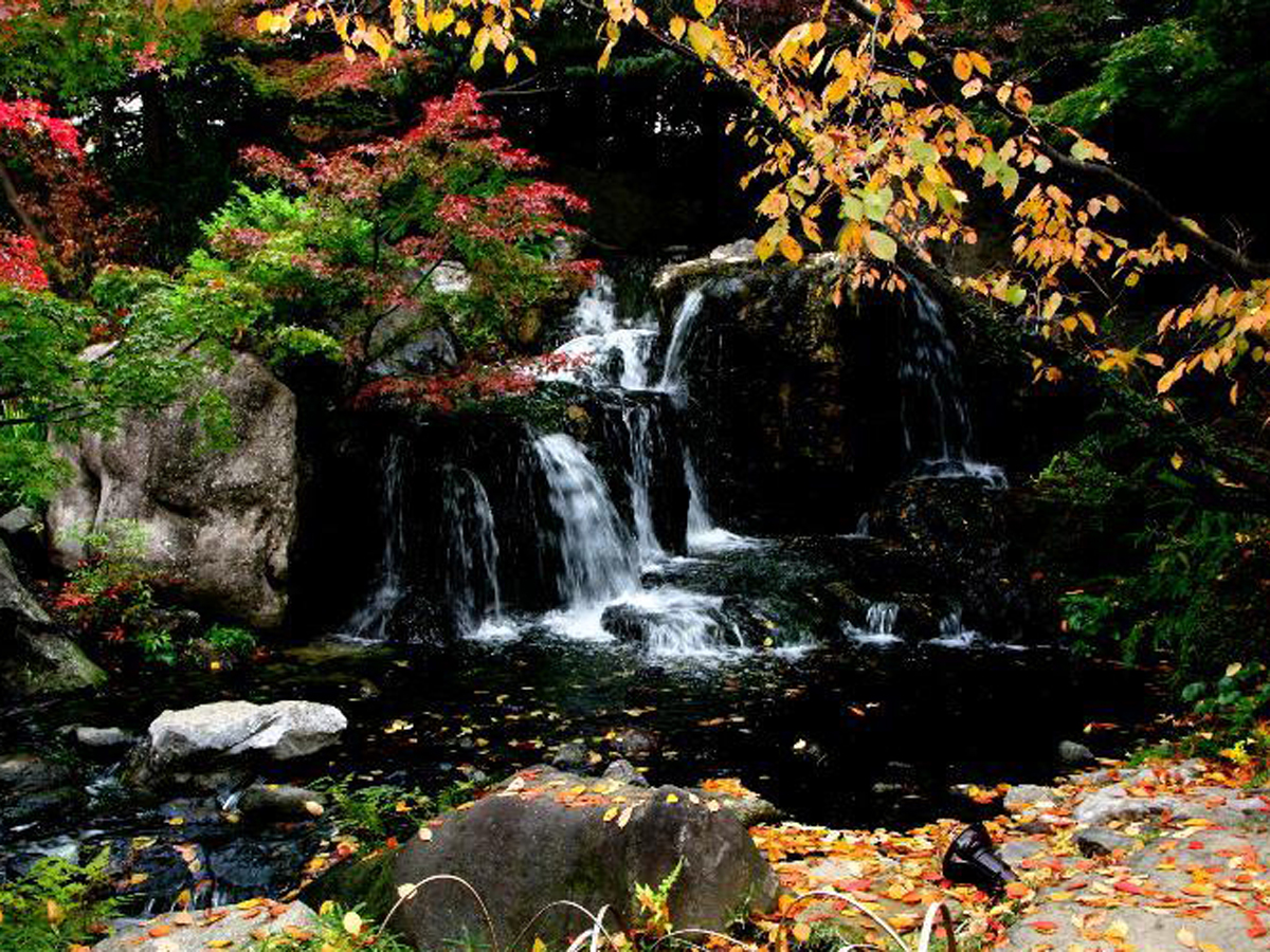 Shirotori Garden