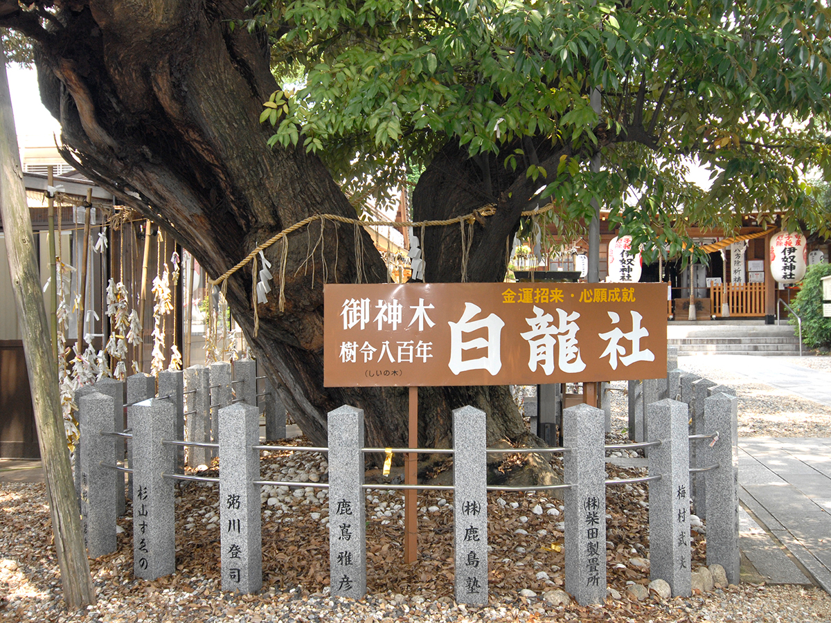 伊奴神社