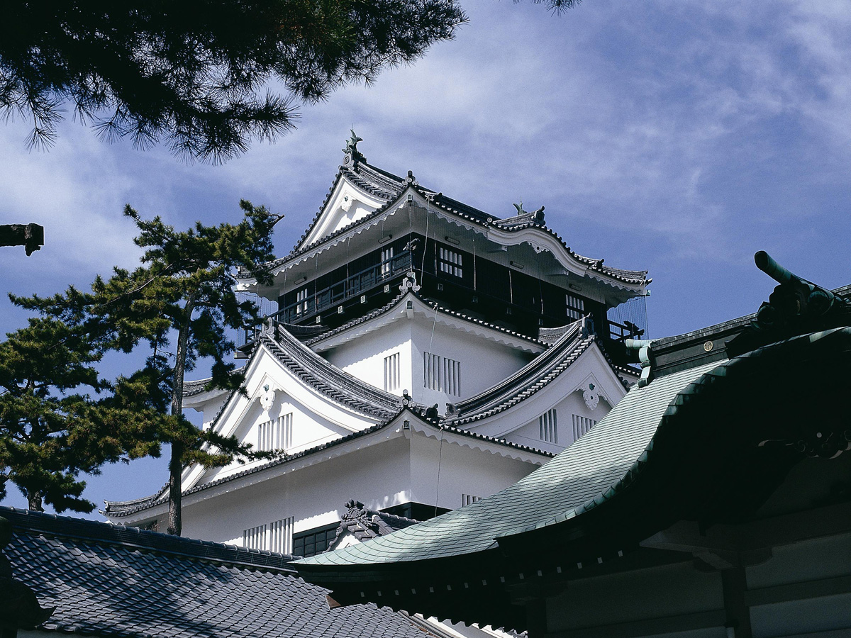 岡崎城・岡崎公園・三河武士のやかた家康館