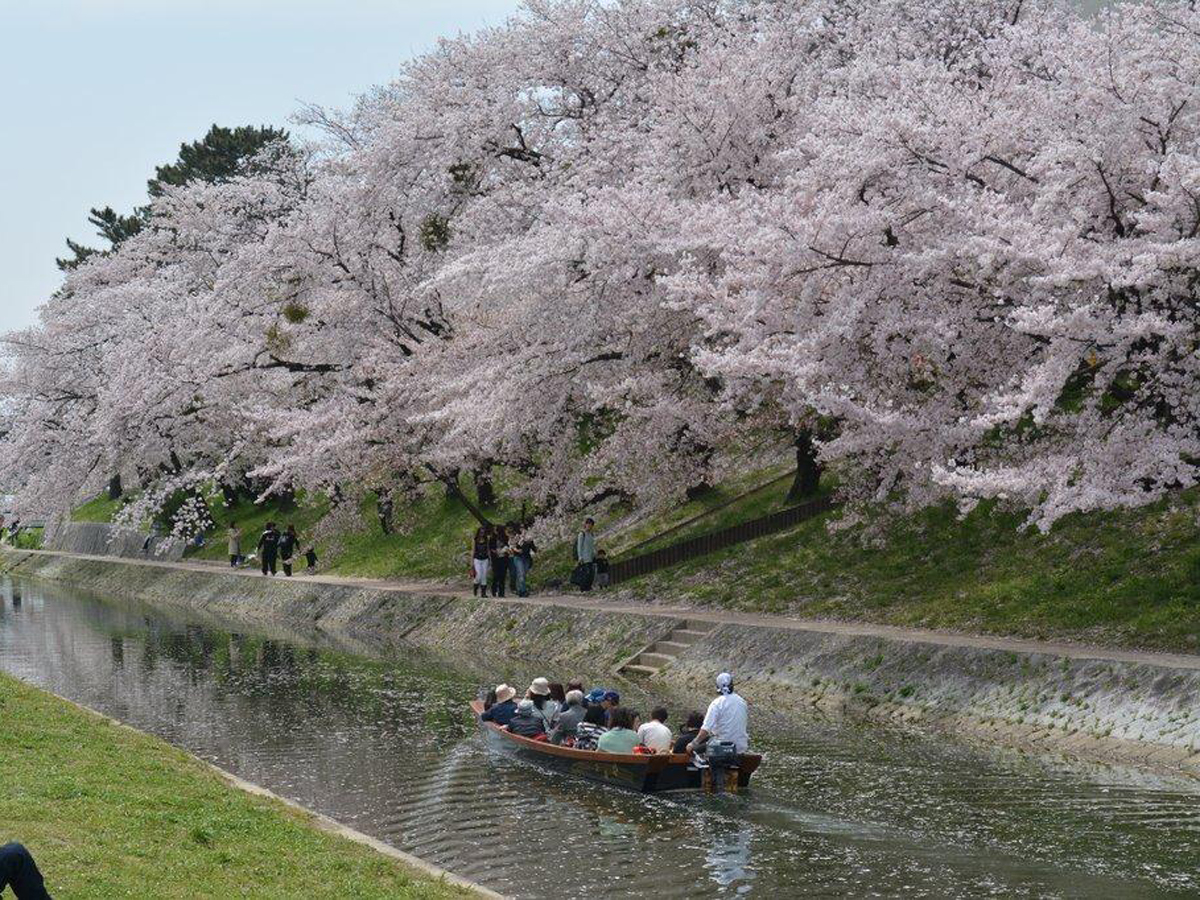 岡崎城下舟あそび