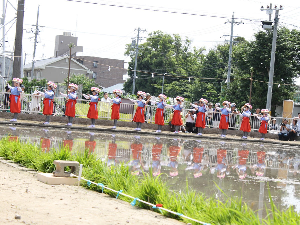 国府宮神社　御田植祭