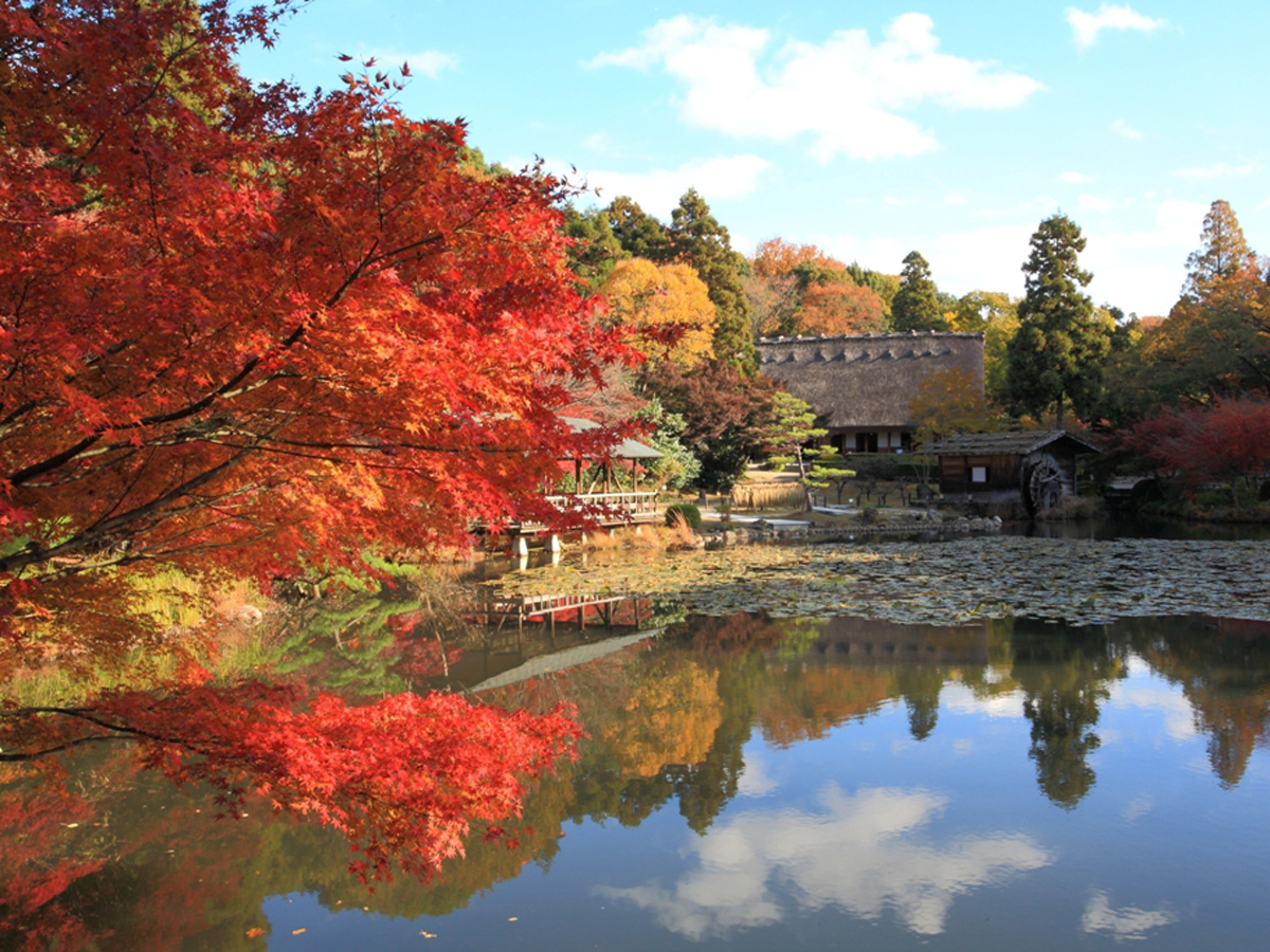 東山動植物園　賞紅葉