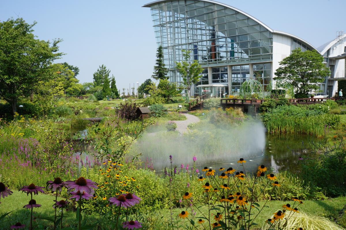 Nagoya Port Wildflower Garden Bluebonnet (Closed)