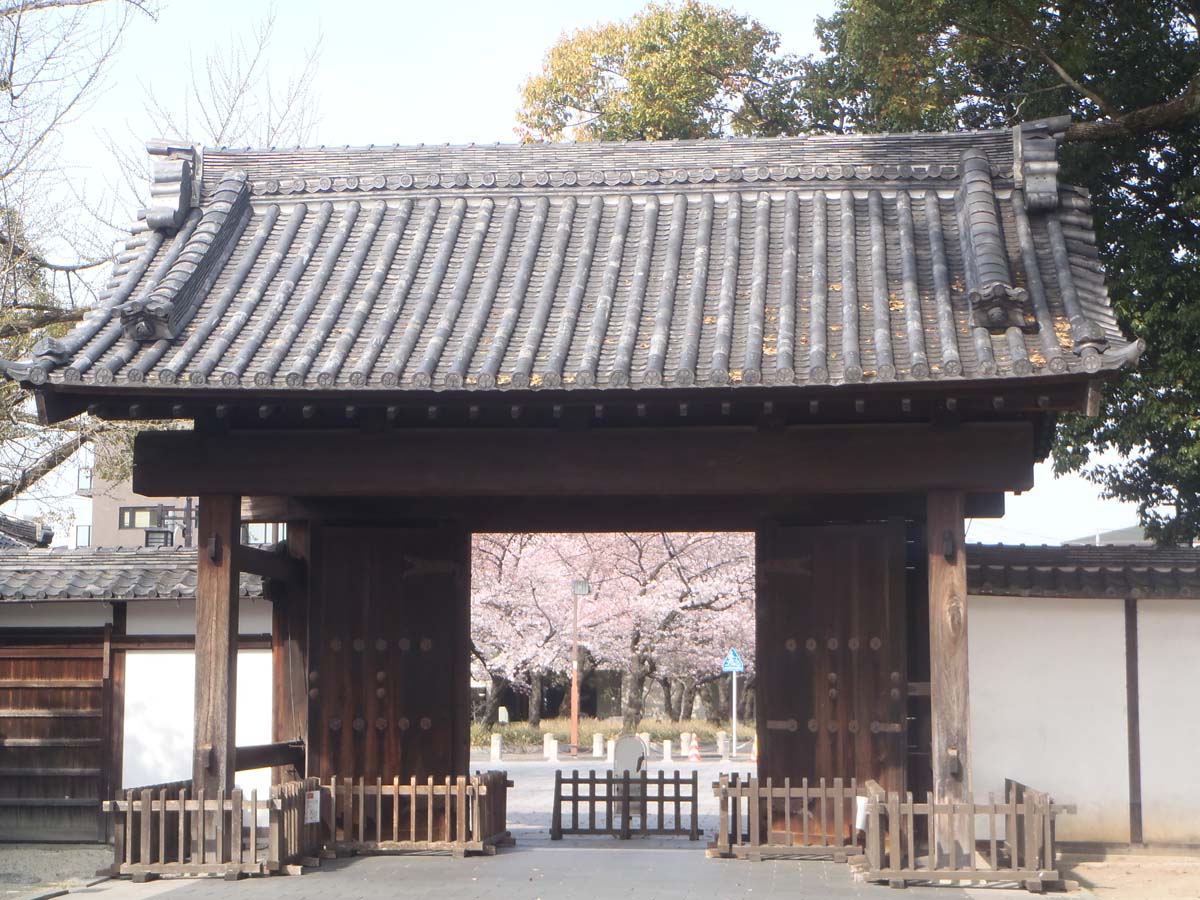 Early spring events at Tokugawaen Garden