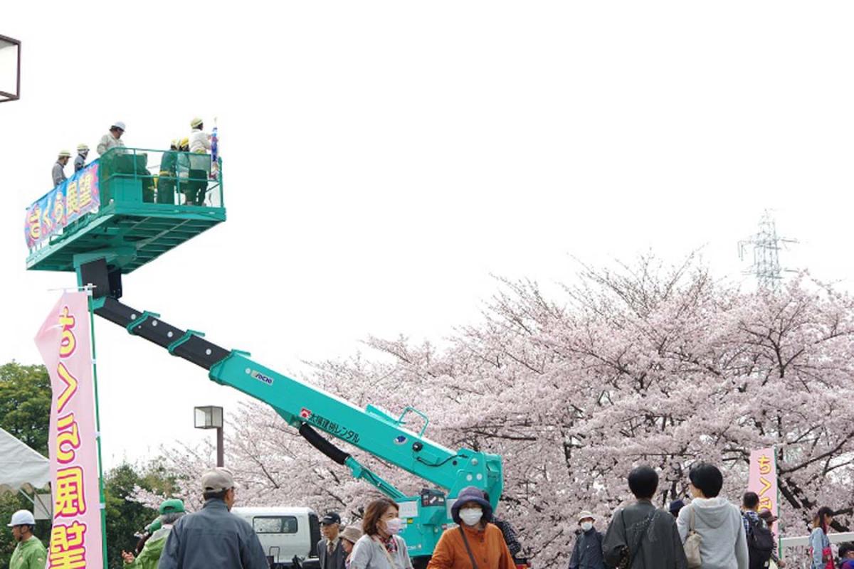 荒子川公园 樱花节