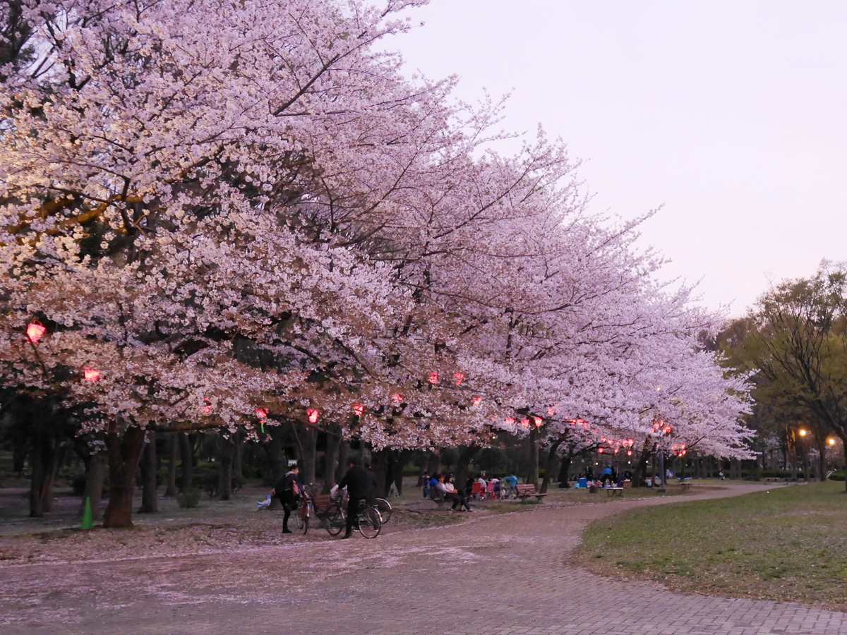 名城公園 公式 愛知県の観光サイトaichi Now