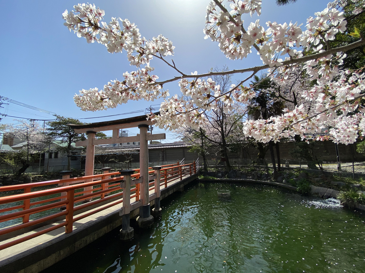 真清田神社(ますみだじんじゃ)