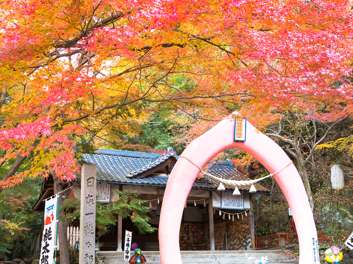 桃太郎神社と紅葉