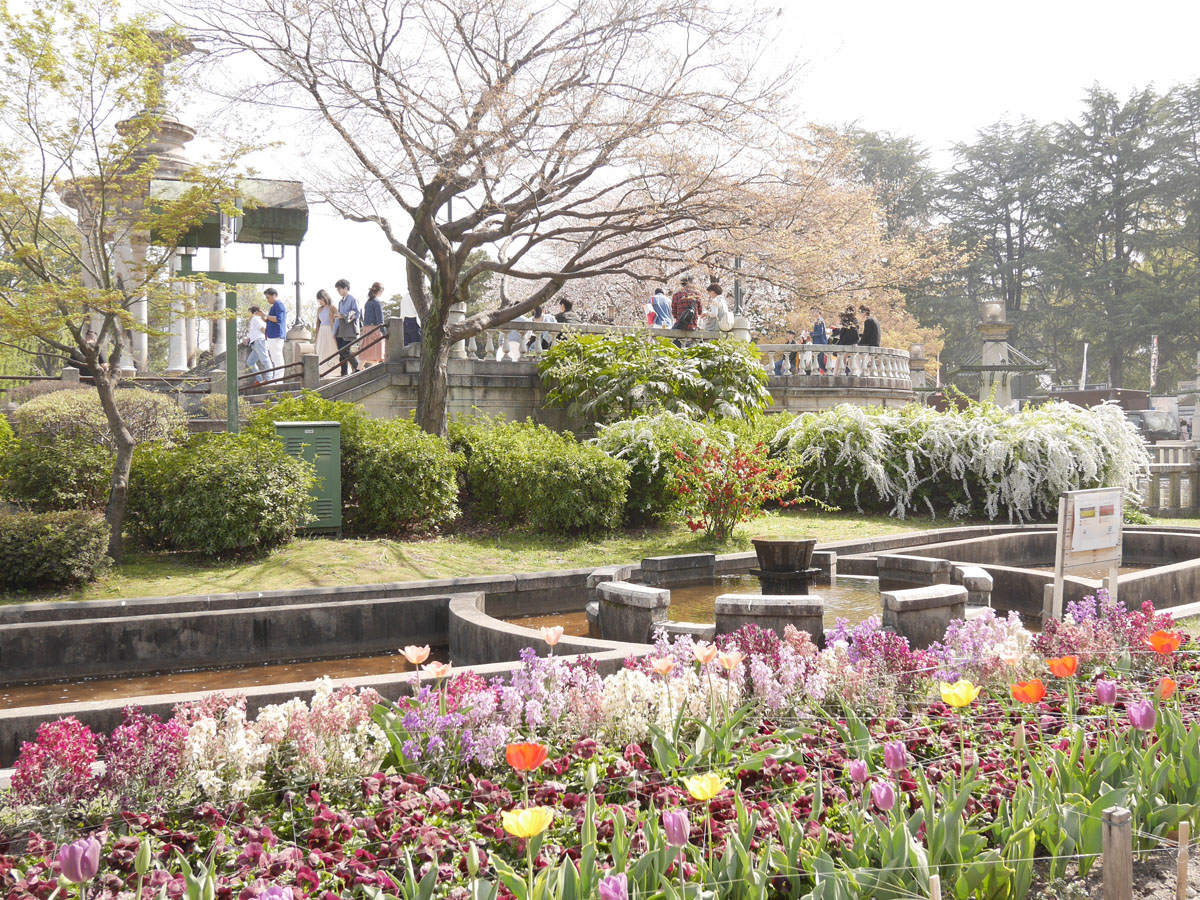 鶴舞公園 Spring Park 公式 愛知県の観光サイトaichi Now