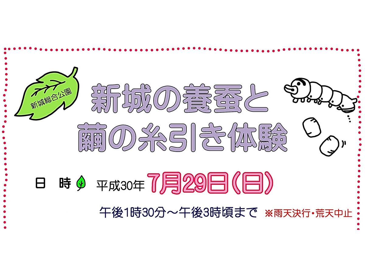 新城総合公園 新城の養蚕と繭の糸引き体験 公式 愛知県の観光サイトaichi Now