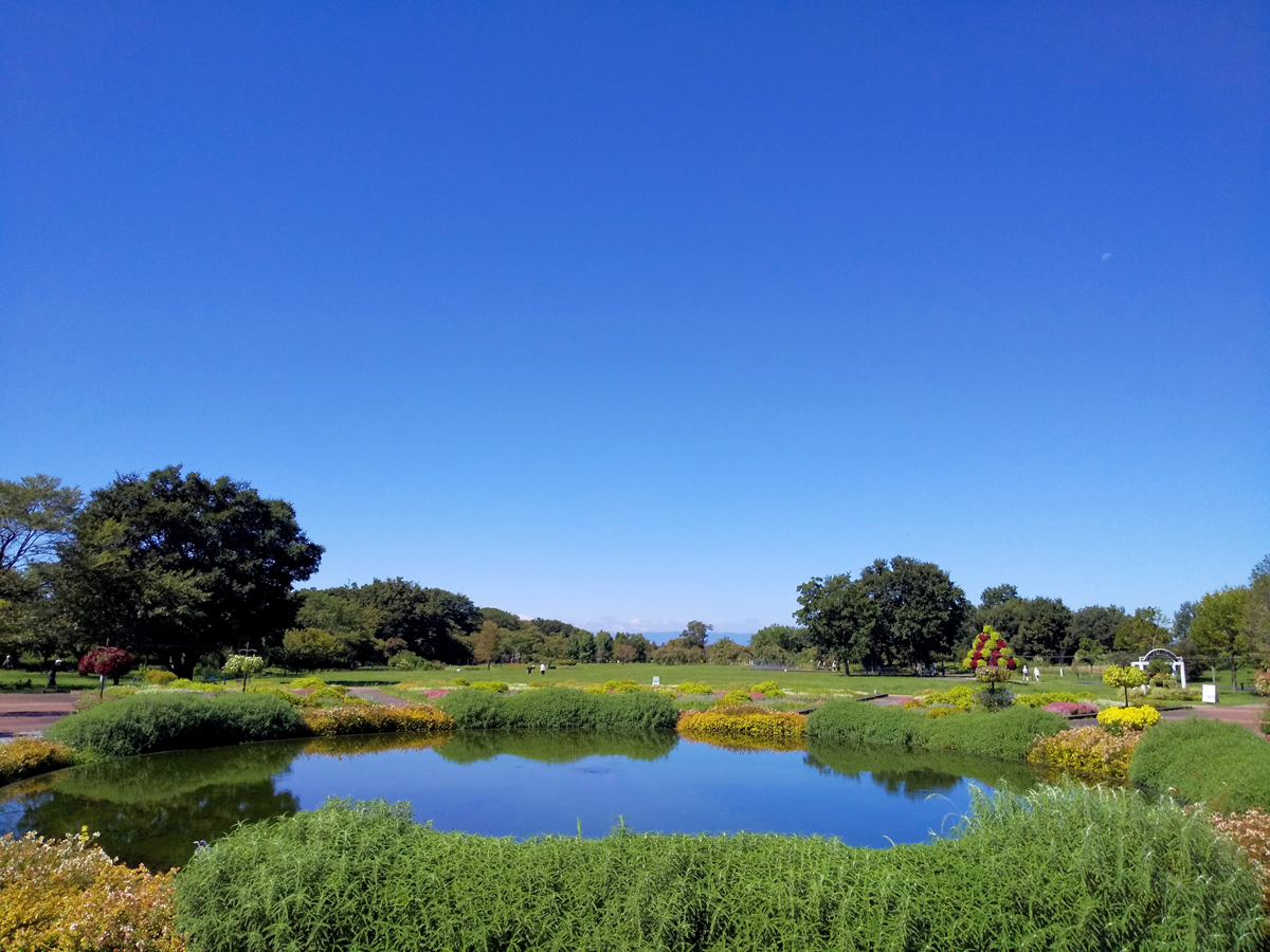 国営木曽三川公園 フラワーパーク江南