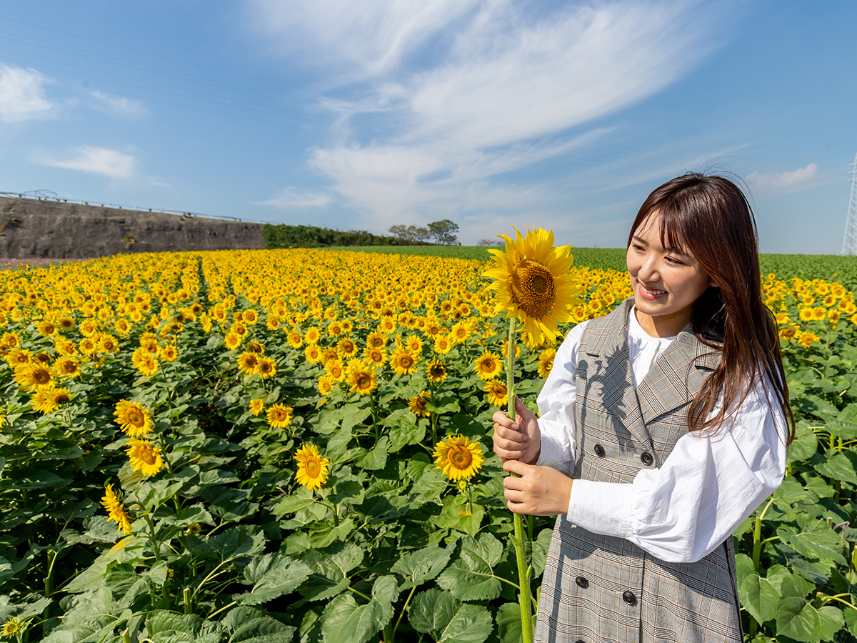 觀光農園花卉廣場