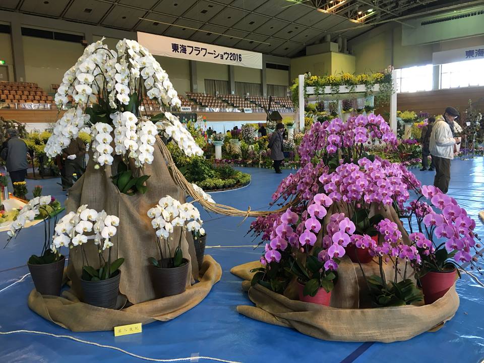 Tokai Flower Show