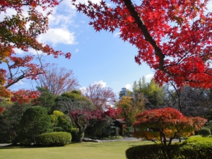 สวนยูราคุเอ็น สวนสไตล์ญี่ปุ่น /โจะอัน ห้องชาสมบัติของชาติ