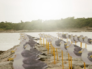 Sakushima Island