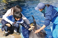 名古屋港水族馆