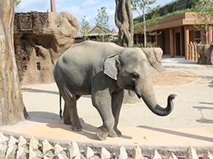 名古屋東山動植物園