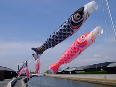 เทศกาลธงปลาคาร์ปที่คลองฮันดะ