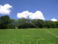 Odaka Greenery Park