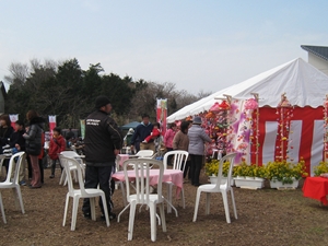 Memeda River Rapeseed Blossom & Cherry Blossom Festival
