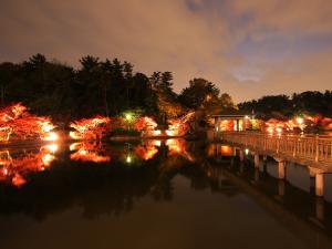 Higashi Park Maple Festiv