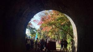 아이기 터널군 가을철 특별 공개
