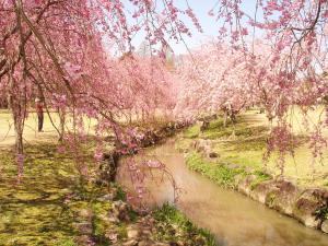 愛知縣森林公園