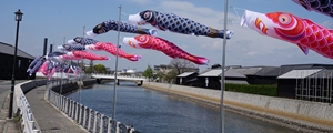 Handa Canal&Carp streamer