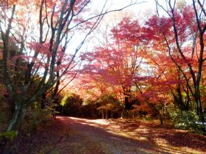 Aichi Prefecture Forest Park (Aichi-ken Shinrin Koen)