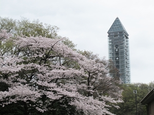 東山天空塔